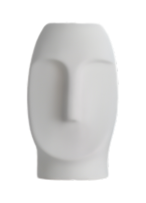 Face Vase