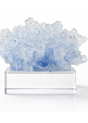 Resin Coral Art With Cr