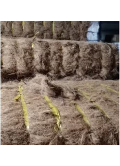Dried Sponge Per kg