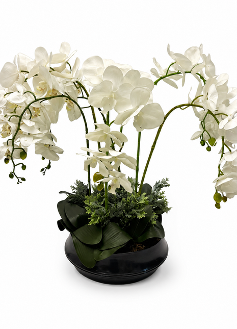 Orchid Vase