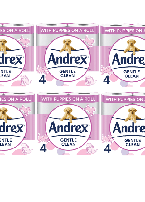 Andrex Gentle Clean Tissue-4 rolls by 6