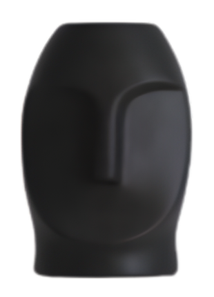 Face Vase