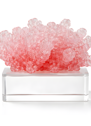 Resin Coral Art With Cr