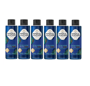 Imperial Leather Invigorating Shower Gel — 250ml (Pack of 6)